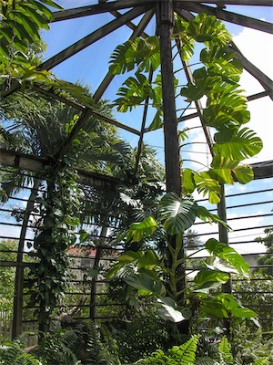 Botanical Gardens, Road Town, Tortola, British Virgin Islands