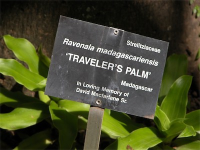 botanic_gardens_gallery_2004_014.jpg