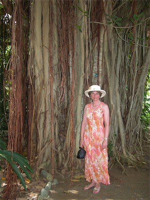 Botanical Gardens, Road Town, Tortola, British Virgin Islands
