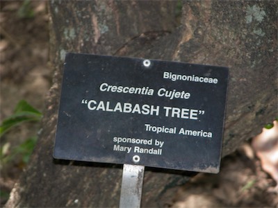 Botanical Gardens, Road Town, Tortola, British Virgin Islands