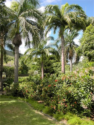 botanic_gardens_gallery_2004_019.jpg