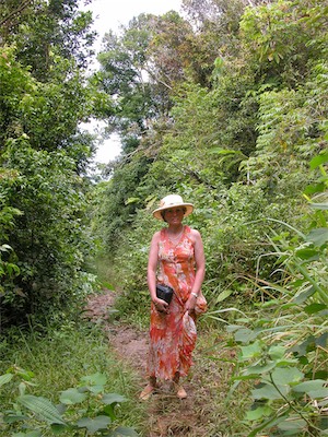 Sage Mountain, National Park, Tortola, British Virgin Islands