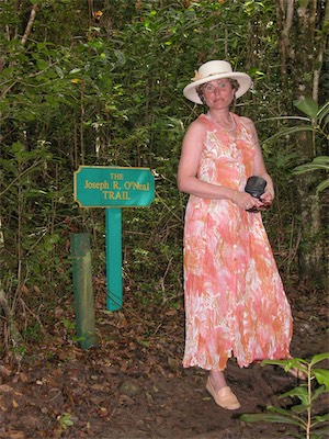 Sage Mountain, National Park, Tortola, British Virgin Islands
