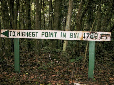 Sage Mountain, National Park, Tortola, British Virgin Islands