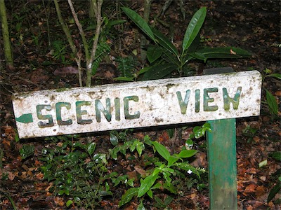 Sage Mountain, National Park, Tortola, British Virgin Islands