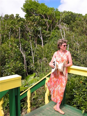 Sage Mountain, National Park, Tortola, British Virgin Islands