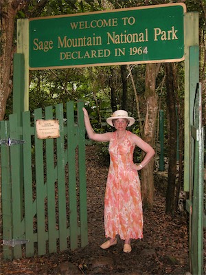 Sage Mountain, National Park, Tortola, British Virgin Islands