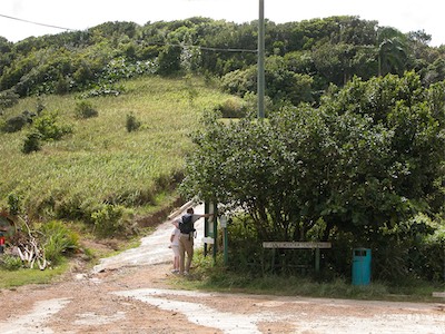 Sage Mountain, National Park, Tortola, British Virgin Islands