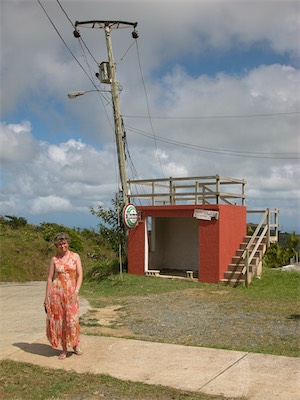 Sage Mountain, National Park, Tortola, British Virgin Islands