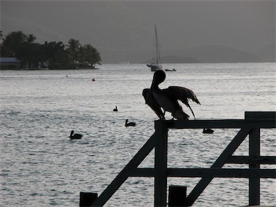 Soper's Hole, West End, Tortola, British Virgin Islands