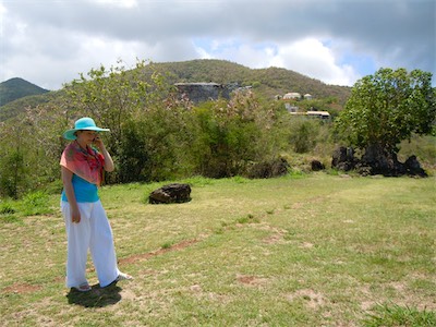 Trunk Bay, Plantations Ruins, St. John, USVI
