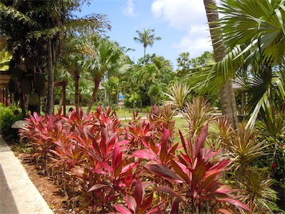 Caneel Bay Sugar Mill Restaurant, Resort, St. John USVI